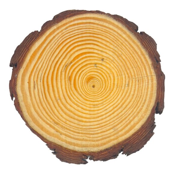 Wood Coasters Decoupaged Art with Yellow Sunflowers and Vintage Truck Napkins - Picture 12 of 12